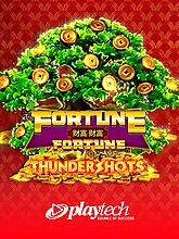 Fortune Fortune: Thundershots